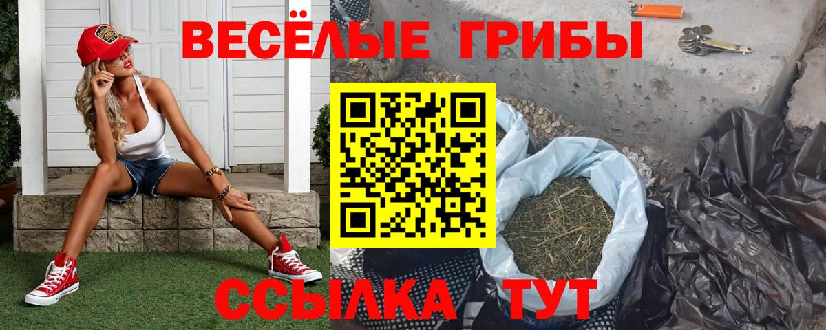 Саранск  Галлюциногенные грибы Psilocybine cubensis  наркошоп  Вход с VPN  Галлюциногенные грибы GOLDEN TEACHER 